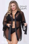 Bold Alluring Sheer Robe