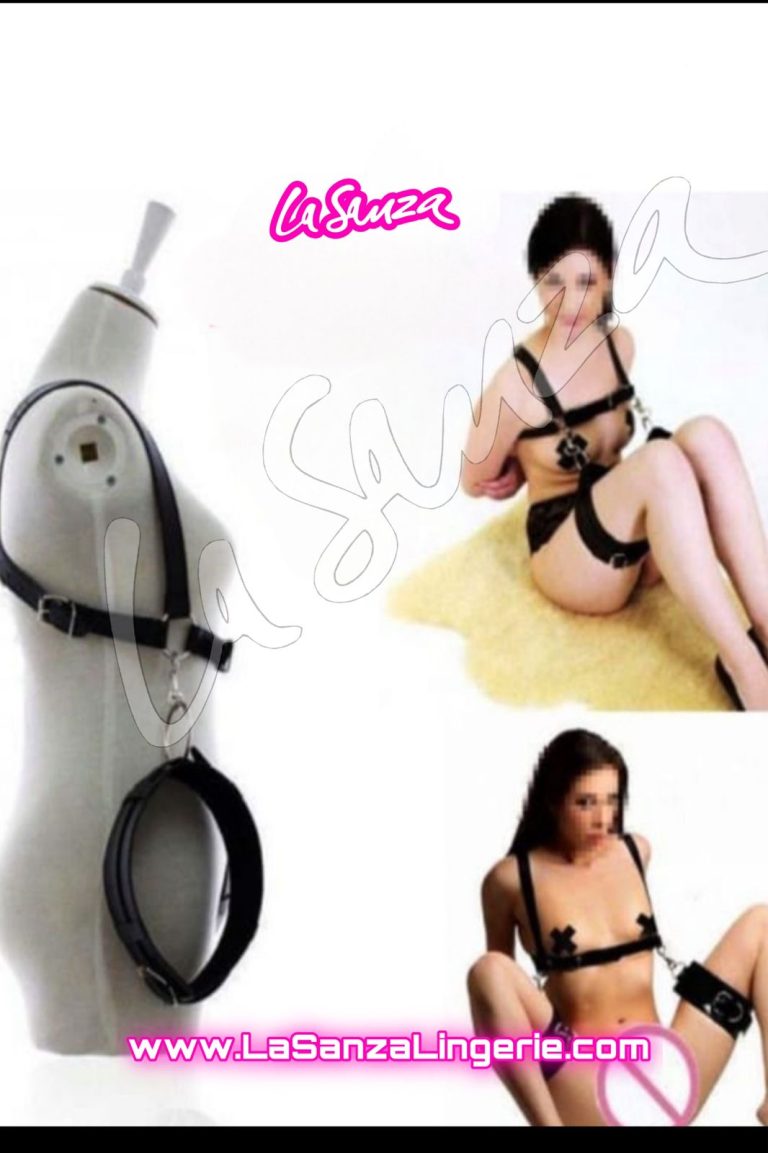 Restraint Harness