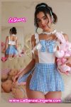 Irresistible Dream Lingerie Delight