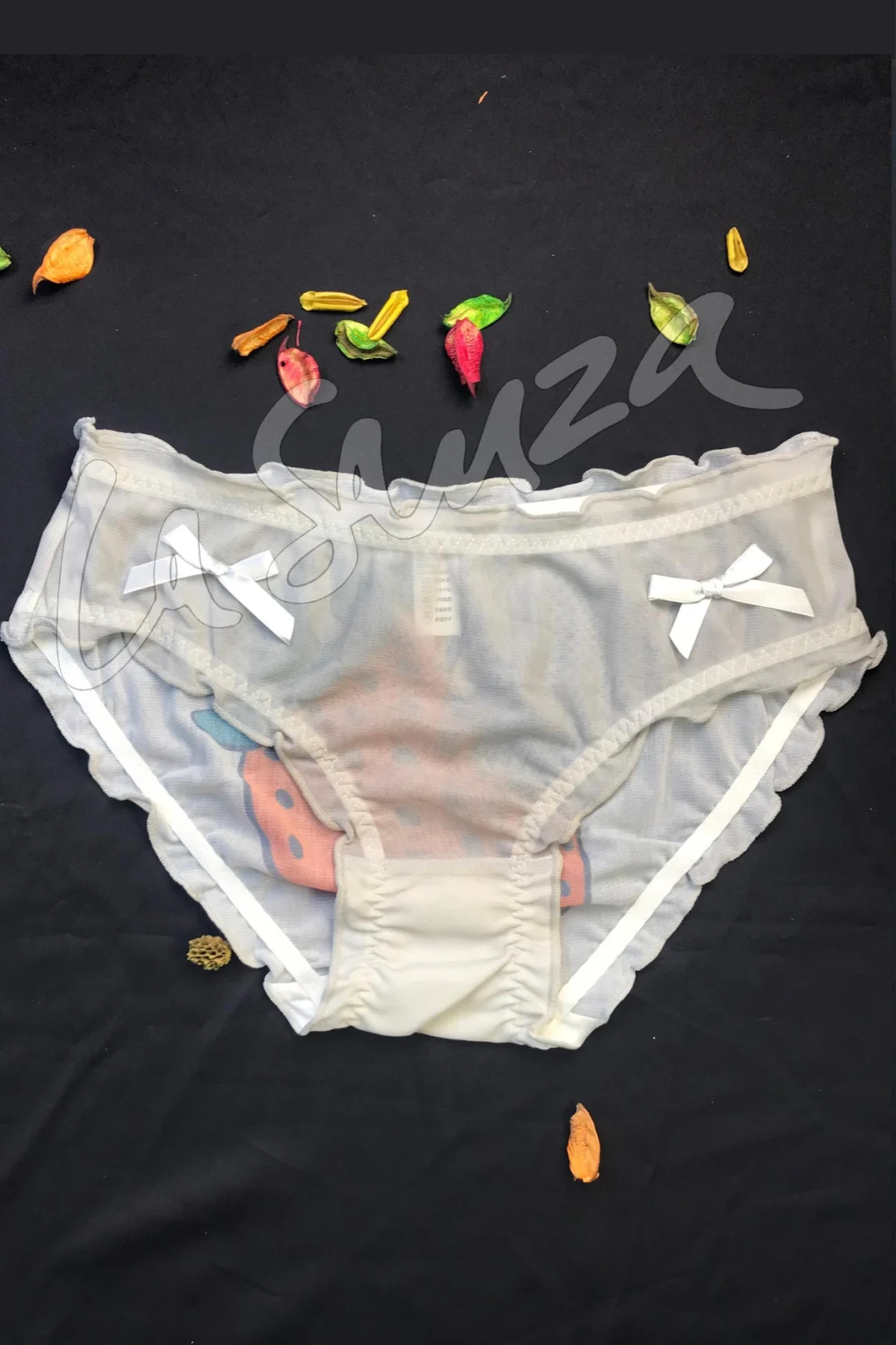 mesh-panty-3
