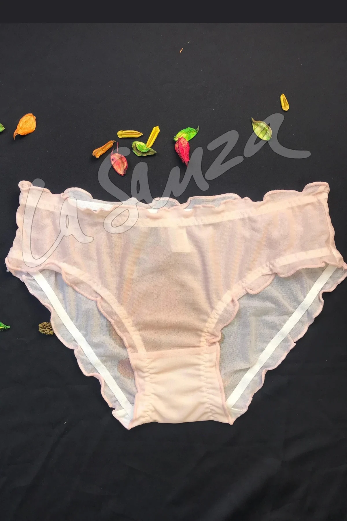 mesh-panty-4