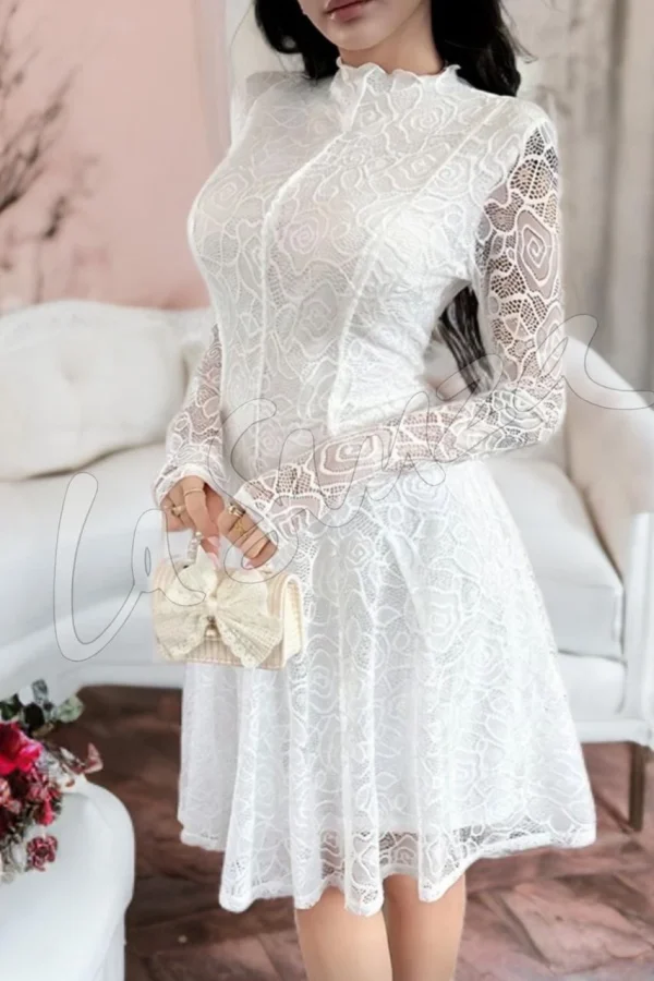 Elegant Stunning Lace Dress