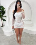 Elegant Irresistible Curve Sheer Dress