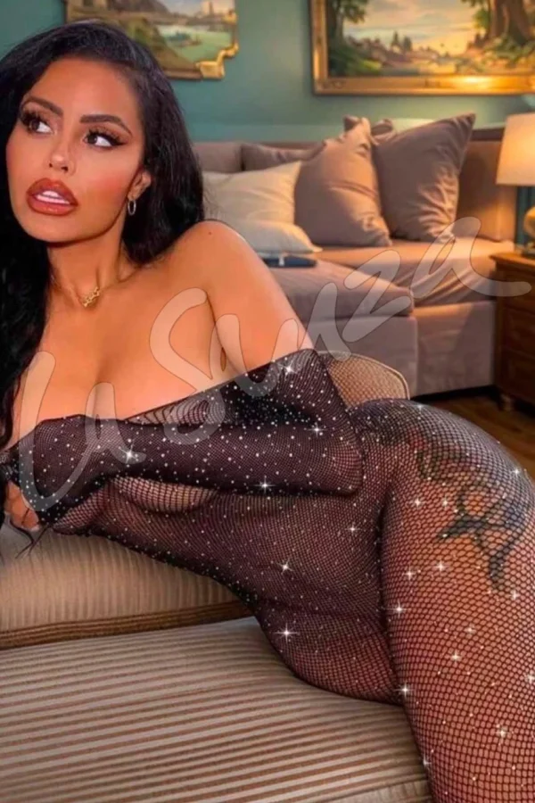 Seductive Fishnet Bodystocking Lingerie