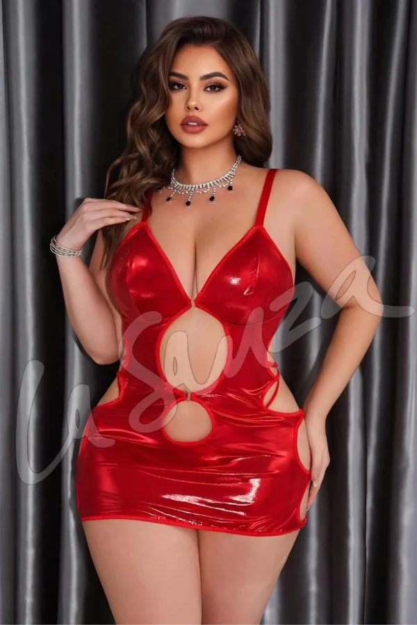 Bold Seductive Glossy Dress