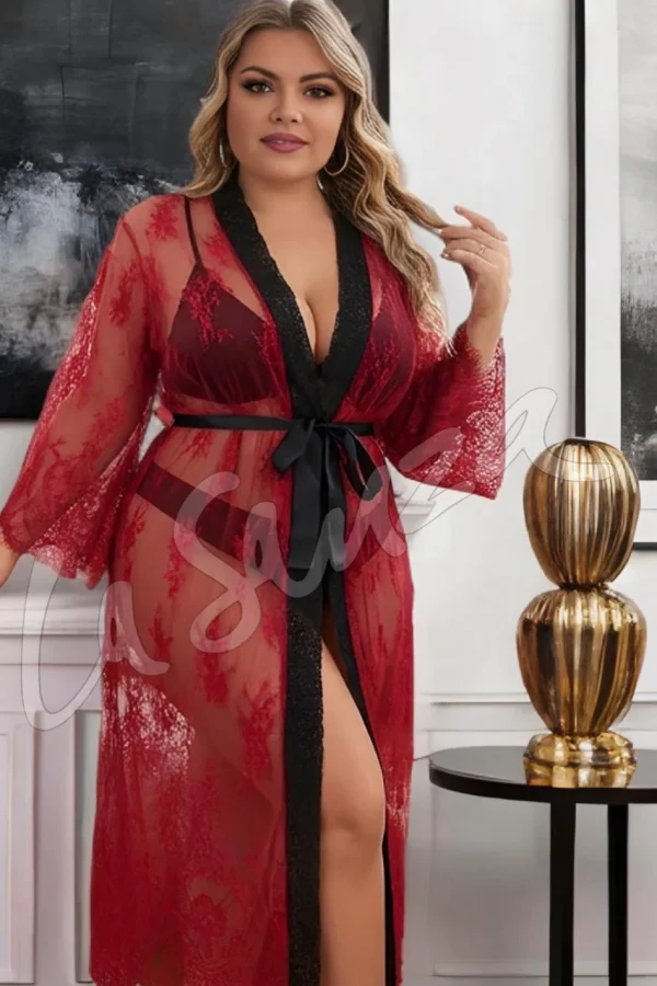Bold Seductive Lace Robe